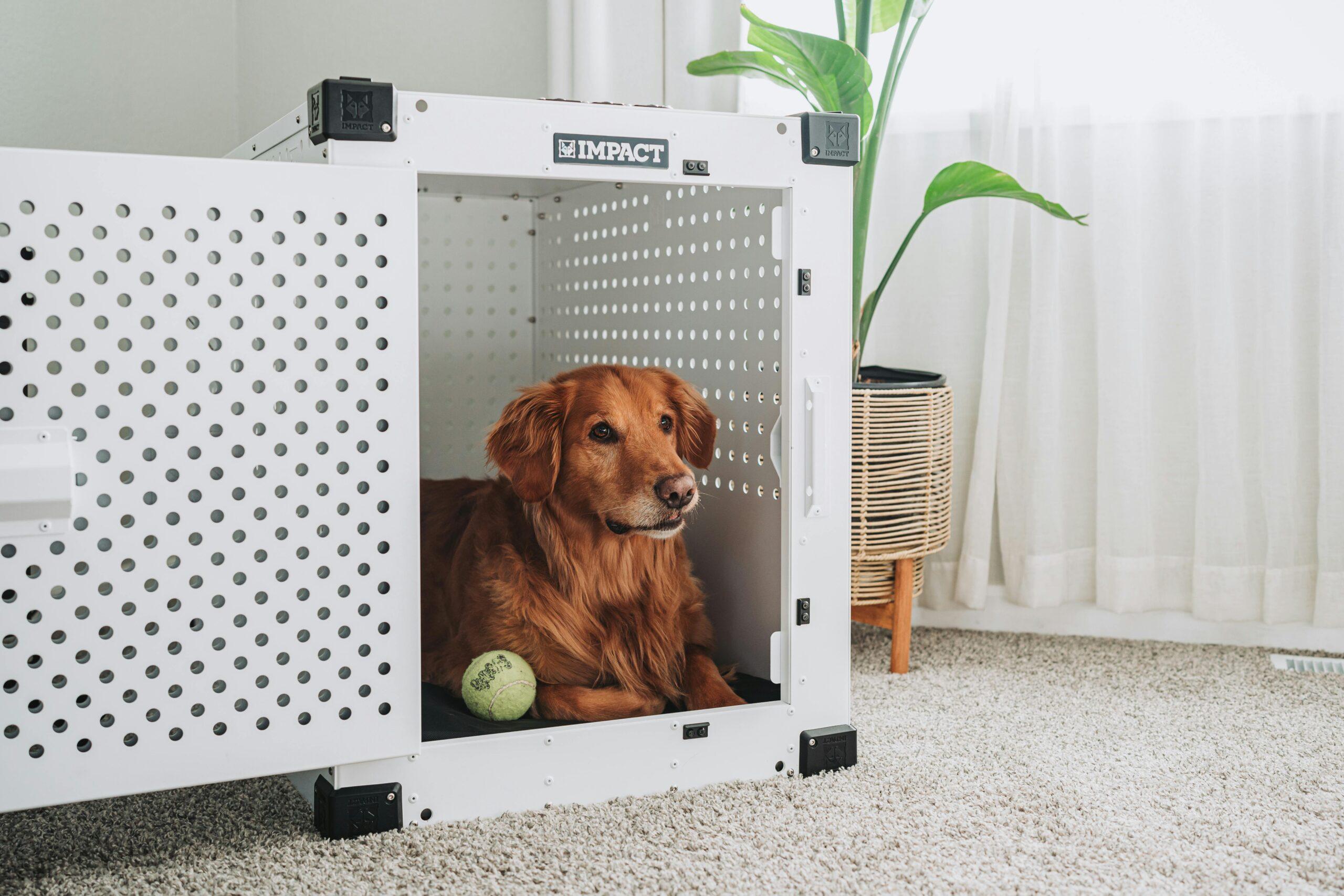 Calm dog resting peacefully in a covered anxiety-friendly crate