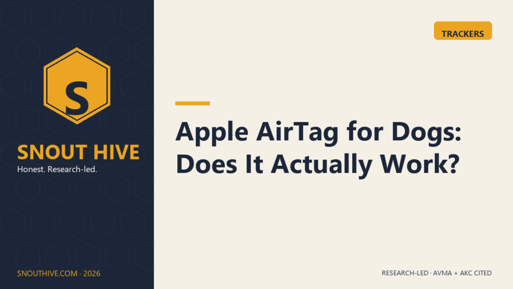 Snout Hive featured — Apple AirTag for Dogs Does It Actually Work