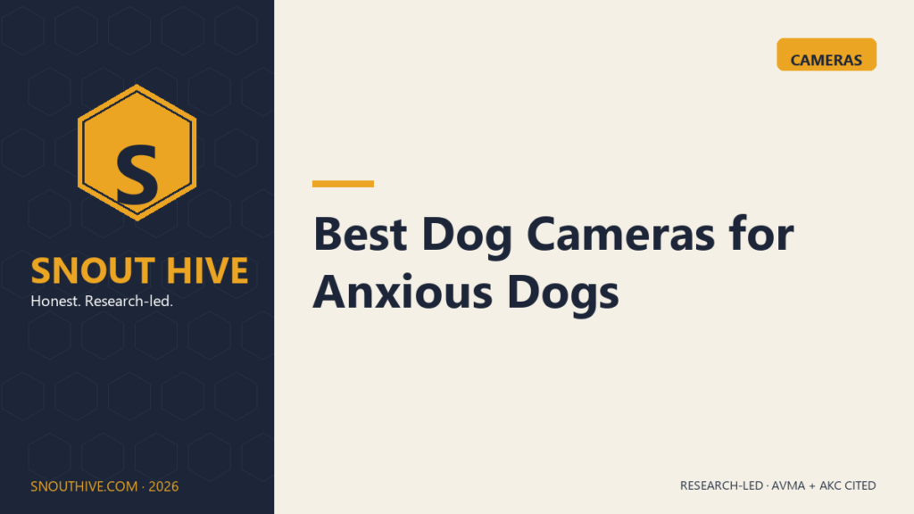 Snout Hive featured — Best Dog Cameras for Anxious Dogs