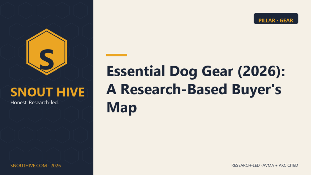 Snout Hive featured image — Essential Dog Gear 2026 buyer's map (pillar)