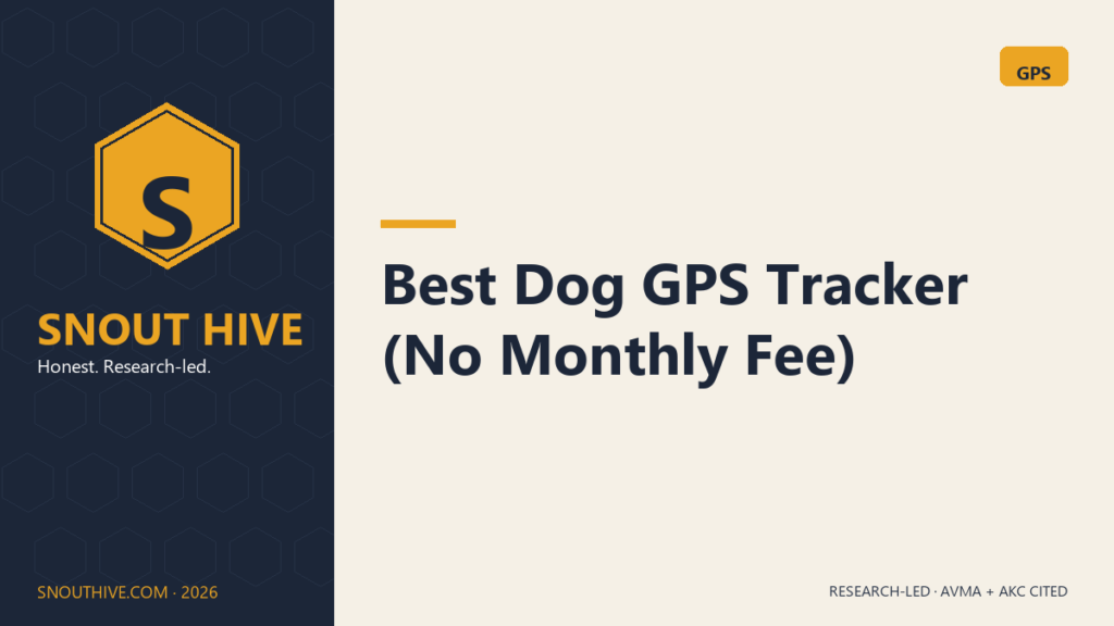 Snout Hive featured — Best Dog GPS Tracker No Monthly Fee