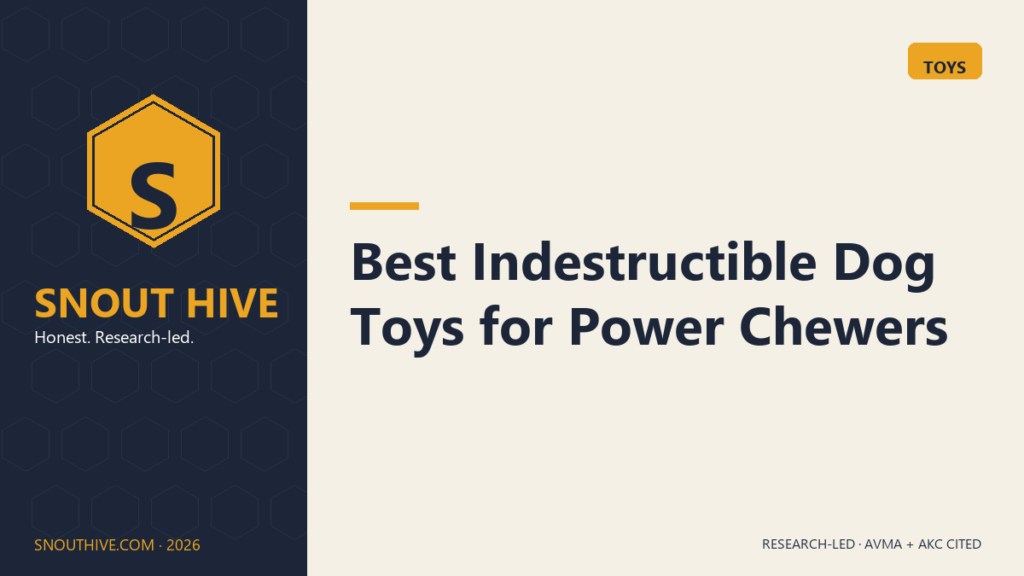 Snout Hive featured — Best Indestructible Dog Toys for Power Chewers