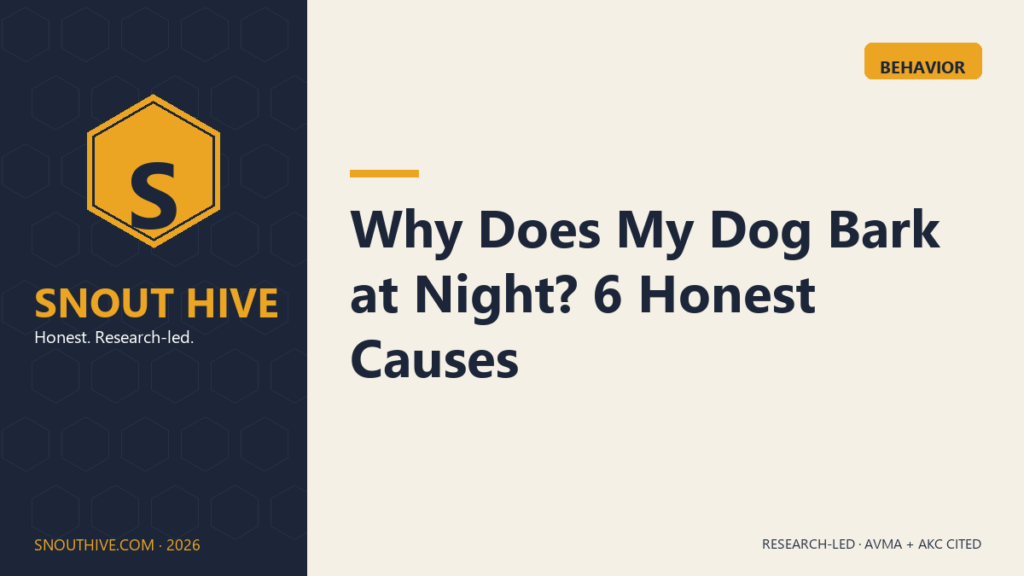 Snout Hive featured image — Why Does My Dog Bark at Night 6 honest causes