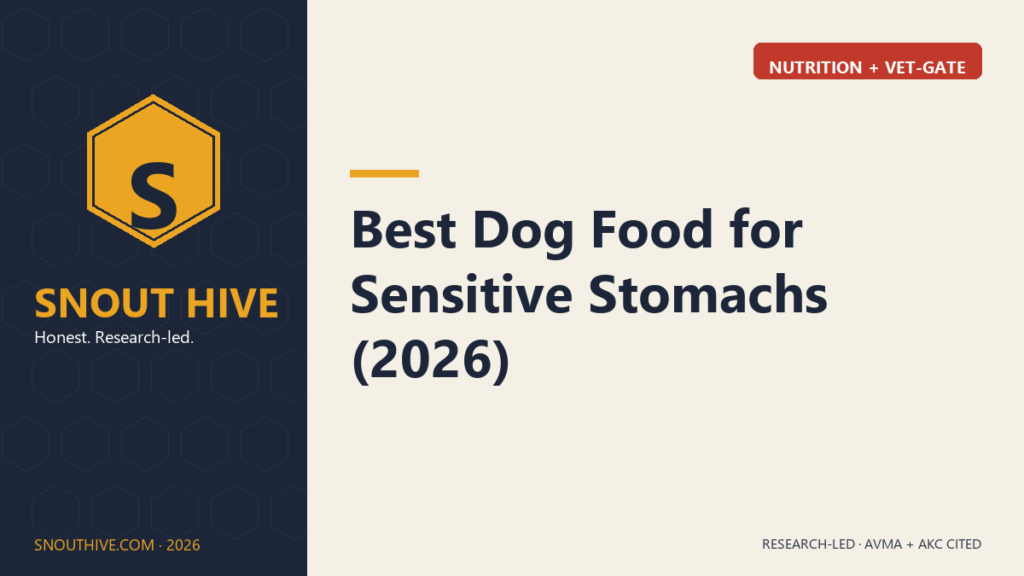 Snout Hive featured — Best Dog Food for Sensitive Stomachs 2026