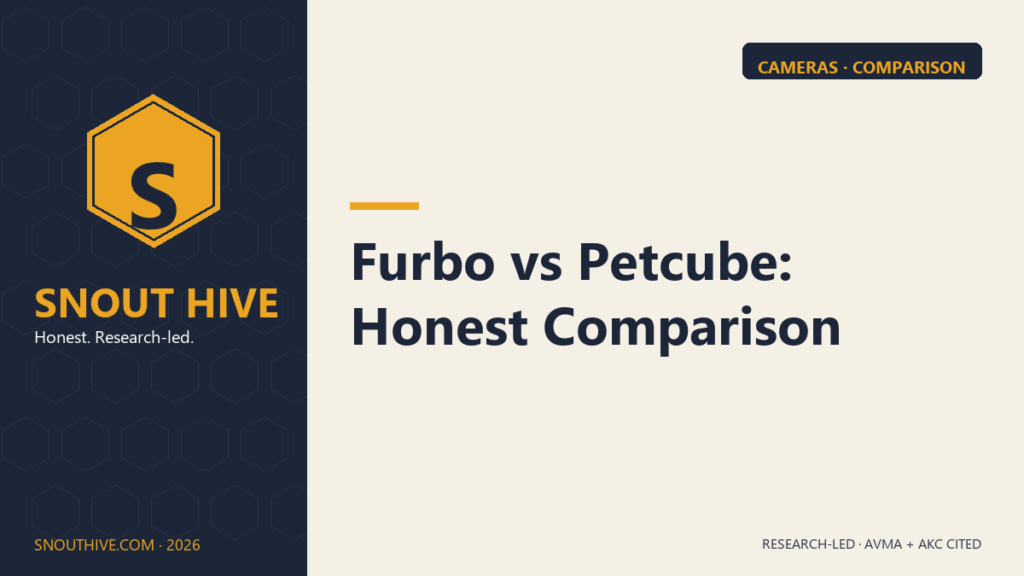 Snout Hive featured — Furbo vs Petcube honest comparison
