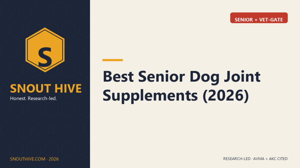 Snout Hive featured — Senior Dog Joint Supplements 2026