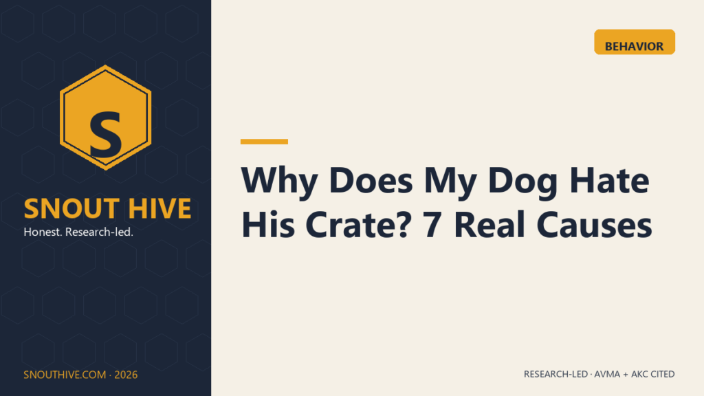 Snout Hive featured — Why Does My Dog Hate His Crate 7 causes