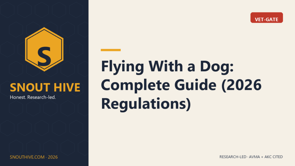 Flying With a Dog: Complete Guide (2026 Regulations)
