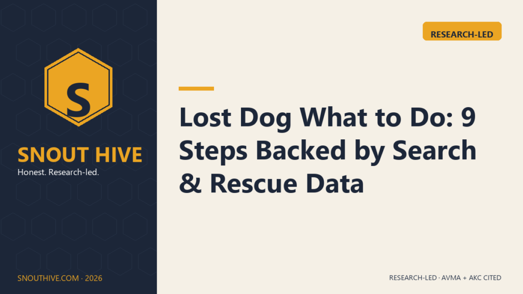 Lost Dog What to Do: 9 Steps Backed by Search & Rescue Data