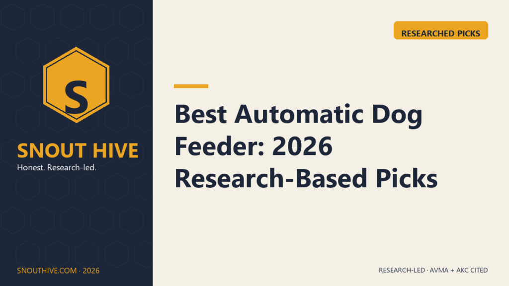 Best Automatic Dog Feeder: 2026 Research-Based Picks