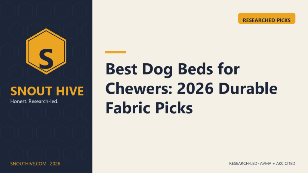 Best Dog Beds for Chewers: 2026 Durable Fabric Picks