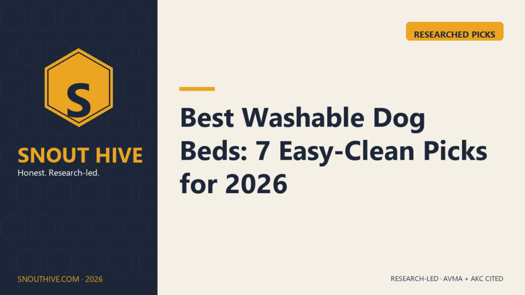 Best Washable Dog Beds: 7 Easy-Clean Picks for 2026