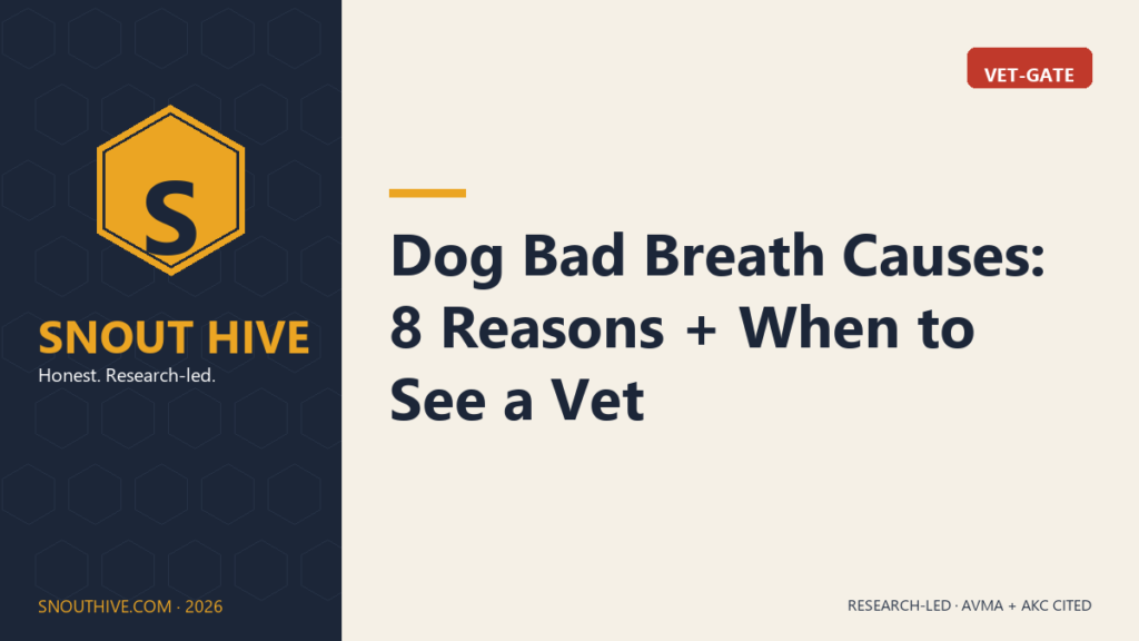 Dog Bad Breath Causes: 8 Reasons + When to See a Vet