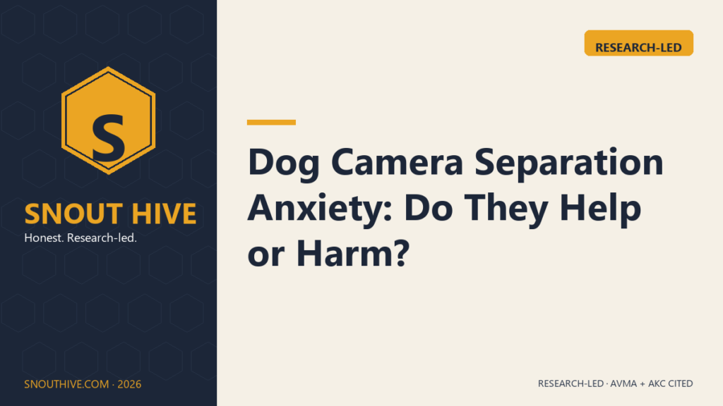 Dog Camera Separation Anxiety: Do They Help or Harm?