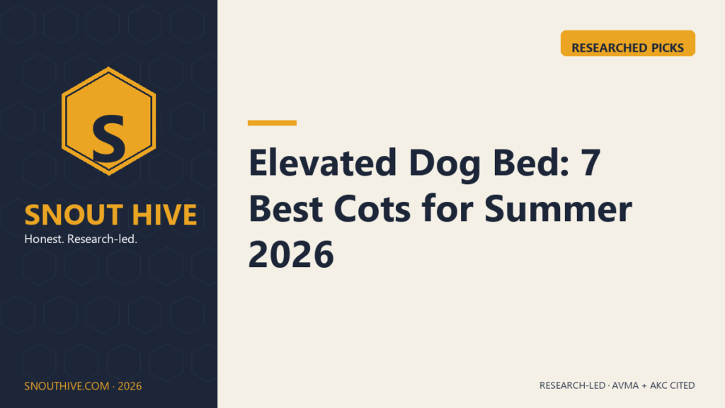 Elevated Dog Bed: 7 Best Cots for Summer 2026