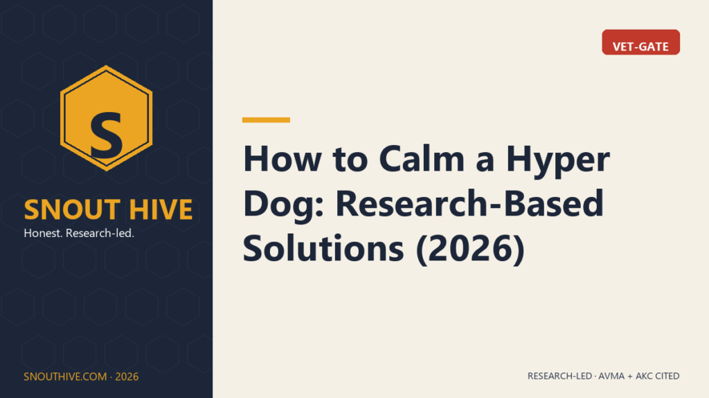 How to Calm a Hyper Dog: Research-Based Solutions (2026)