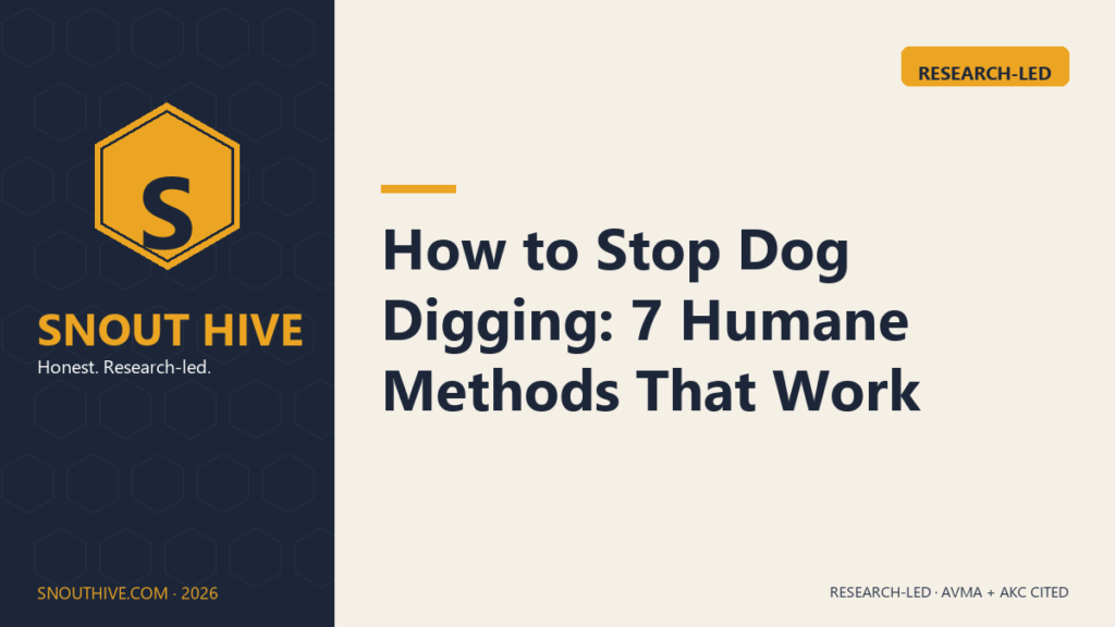 How to Stop Dog Digging: 7 Humane Methods That Work