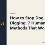 How to Stop Dog Digging: 7 Humane Methods That Work
