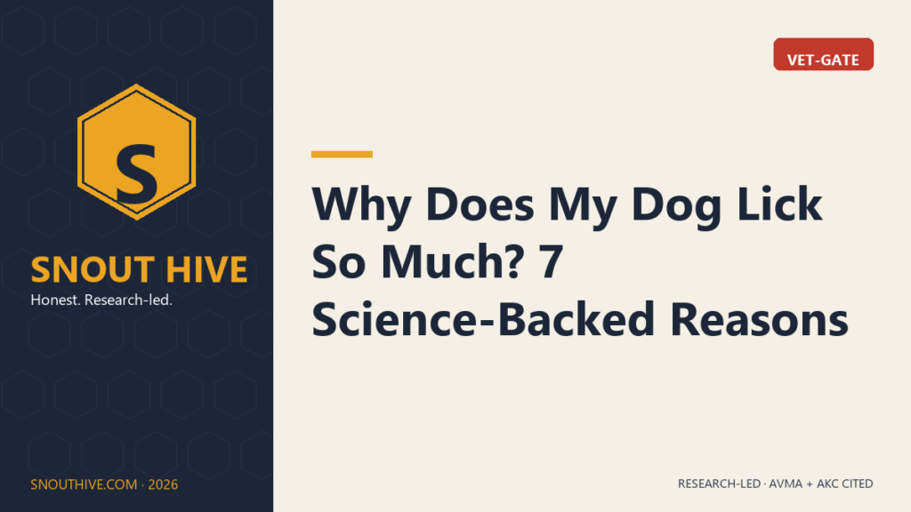 Why Does My Dog Lick So Much? 7 Science-Backed Reasons
