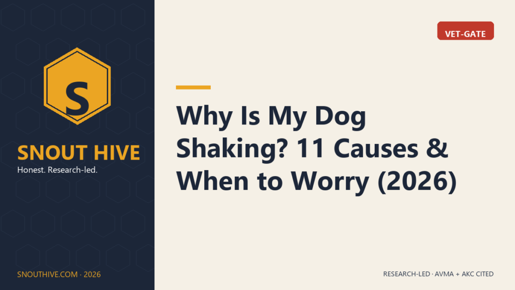 Why Is My Dog Shaking? 11 Causes & When to Worry (2026)