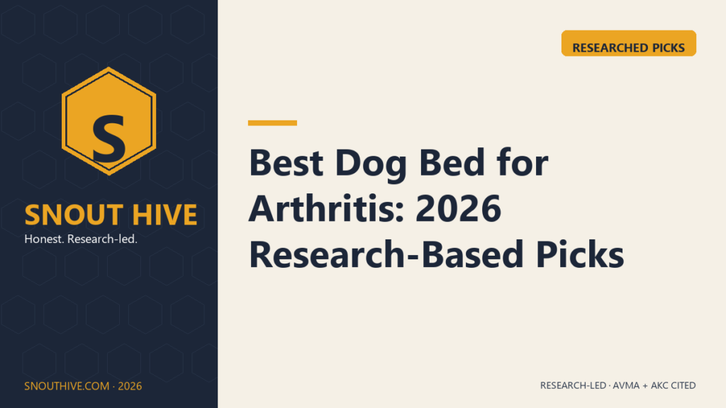 Best Dog Bed for Arthritis: 2026 Research-Based Picks