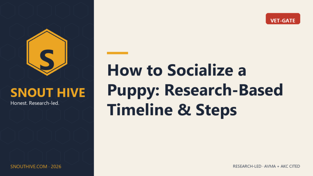 How to Socialize a Puppy: Research-Based Timeline & Steps