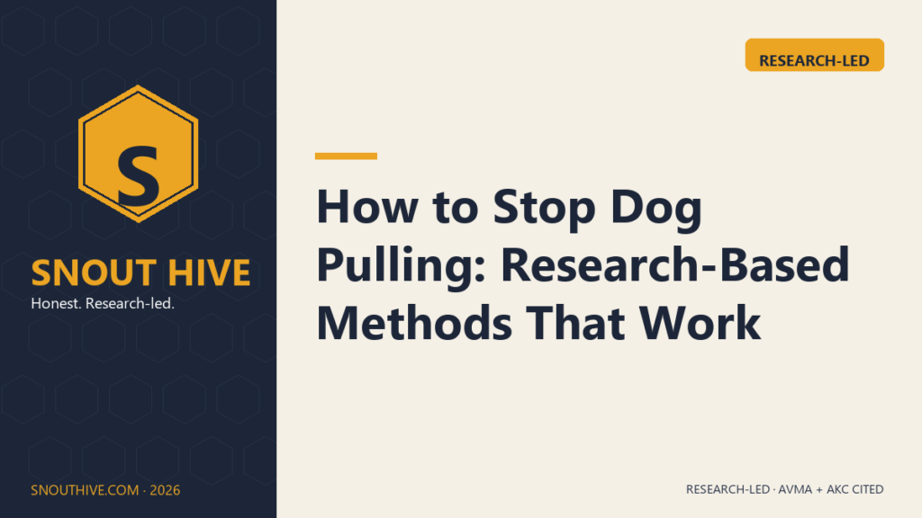 How to Stop Dog Pulling: Research-Based Methods That Work