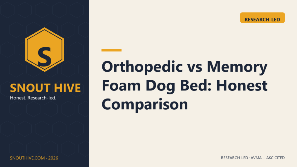 Orthopedic vs Memory Foam Dog Bed: Honest Comparison