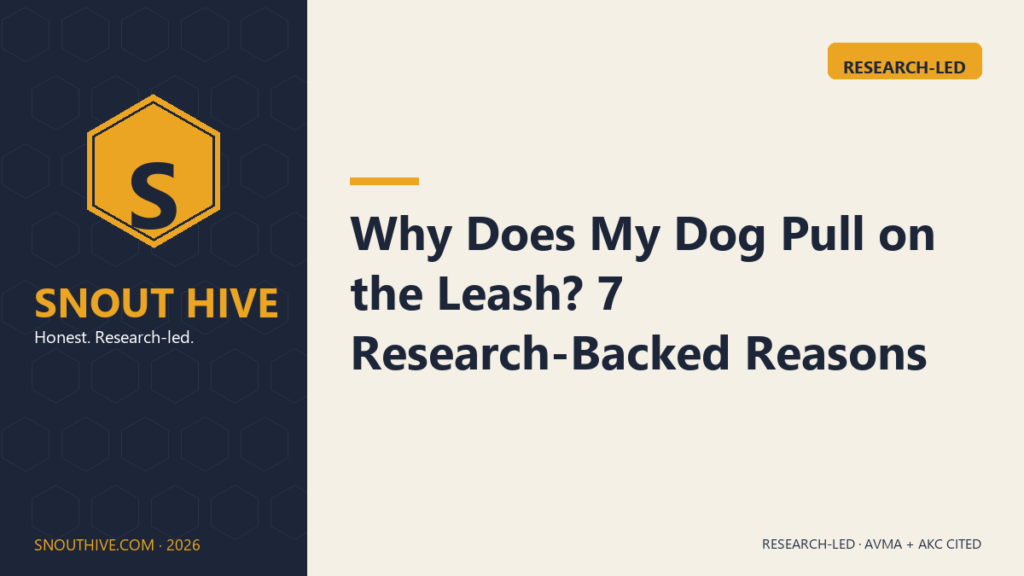 Why Does My Dog Pull on the Leash? 7 Research-Backed Reasons