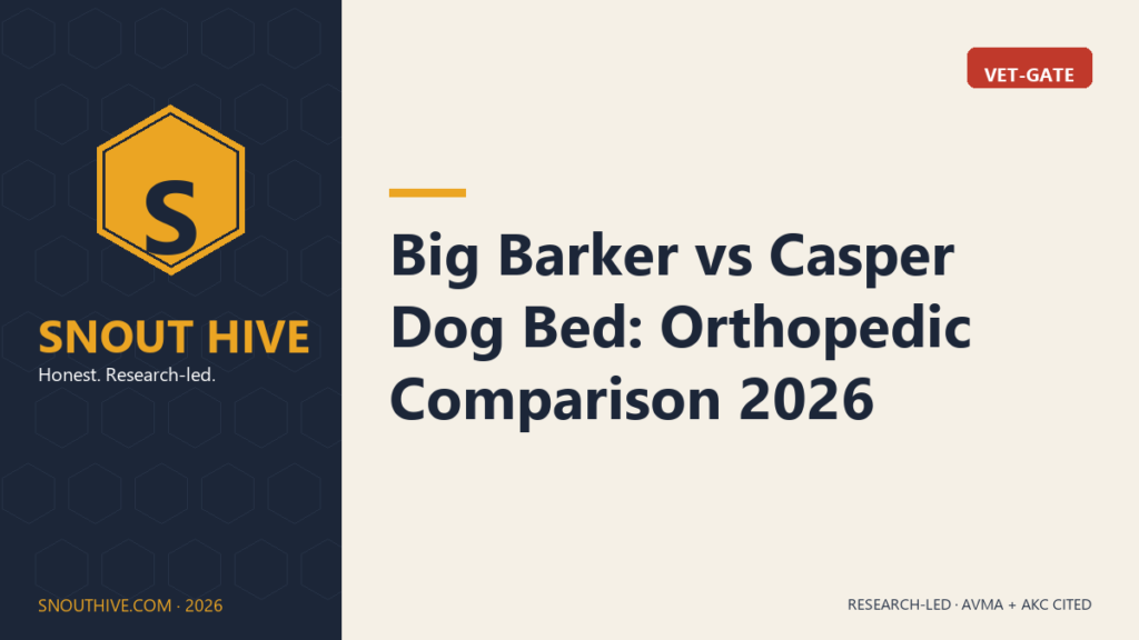 Big Barker vs Casper Dog Bed: Orthopedic Comparison 2026