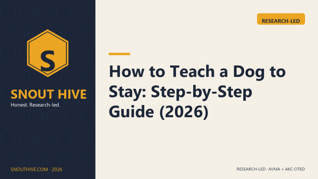 How to Teach a Dog to Stay: Step-by-Step Guide (2026)