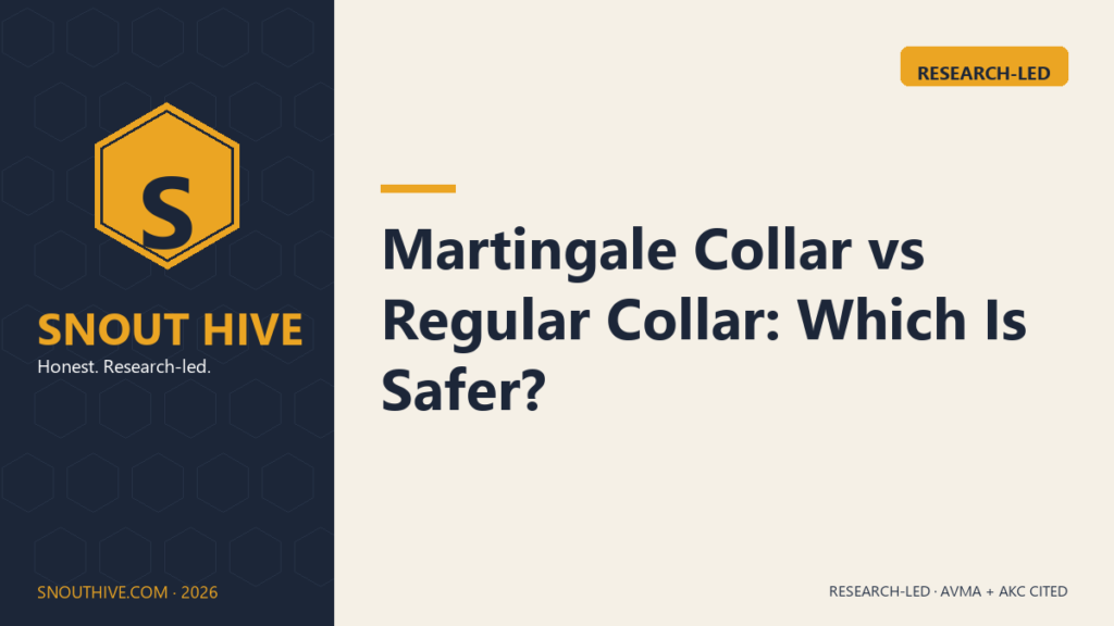Martingale Collar vs Regular Collar: Which Is Safer?