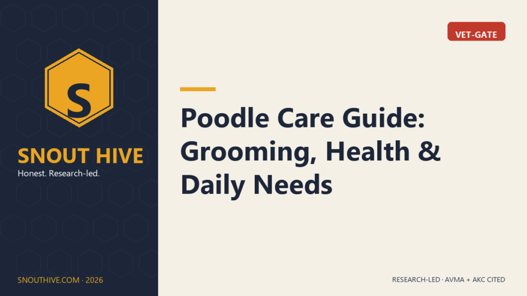 Poodle Care Guide: Grooming, Health & Daily Needs