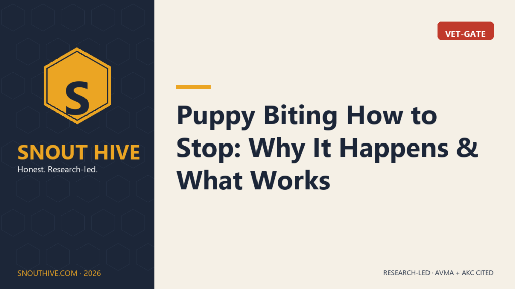Puppy Biting How to Stop: Why It Happens & What Works