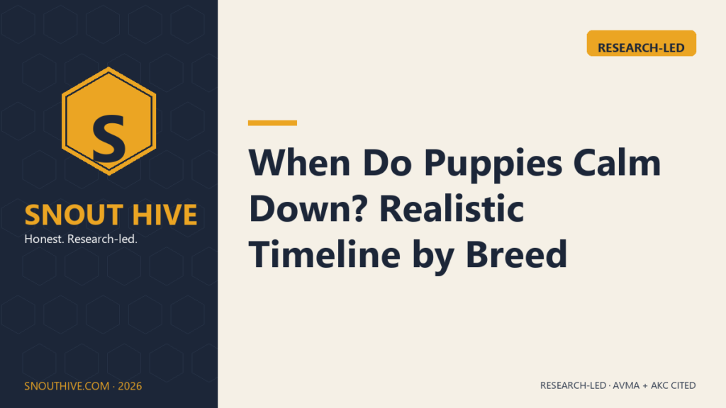 When Do Puppies Calm Down? Realistic Timeline by Breed