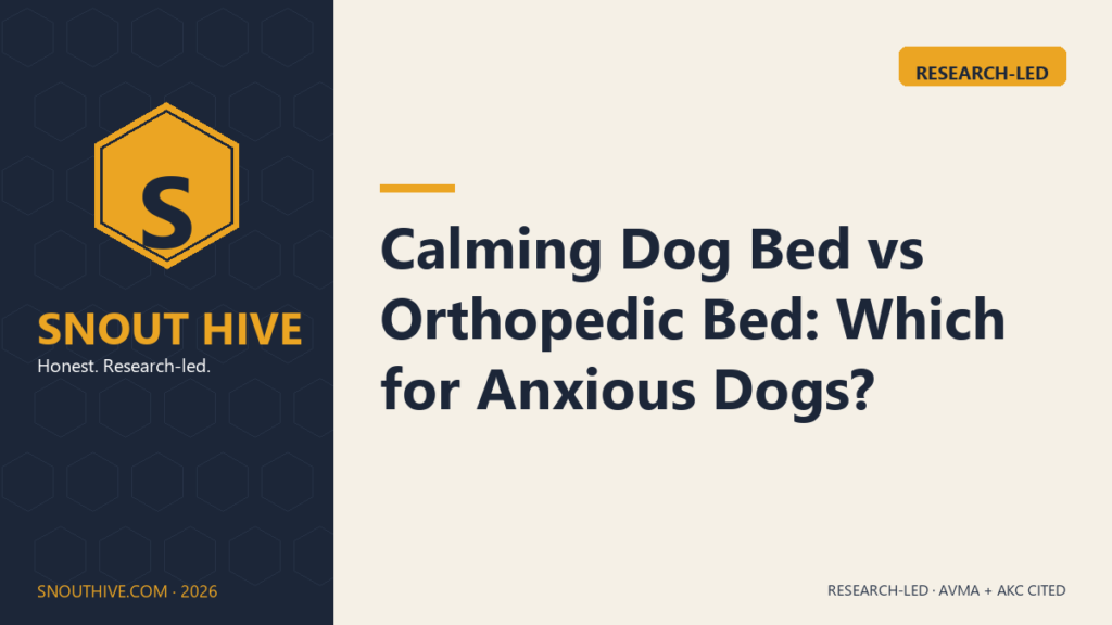 Calming Dog Bed vs Orthopedic Bed: Which for Anxious Dogs?