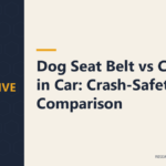 Dog Seat Belt vs Crate in Car: Crash-Safety Comparison