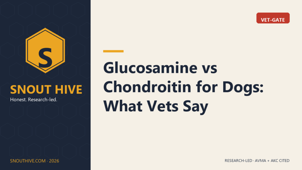 Glucosamine vs Chondroitin for Dogs: What Vets Say