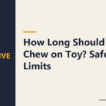 How Long Should Dog Chew on Toy? Safe Time Limits