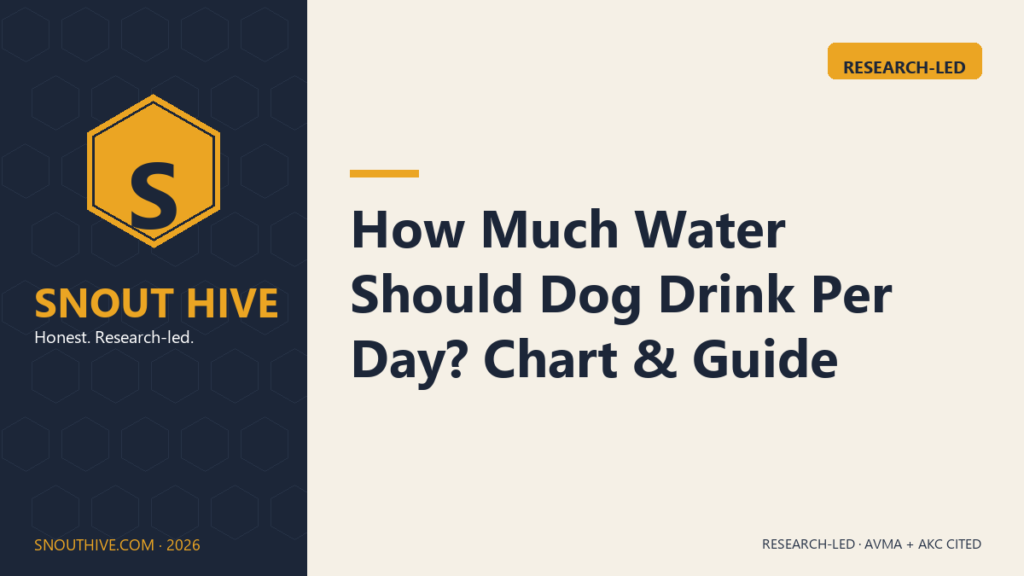 How Much Water Should Dog Drink Per Day? Chart & Guide