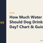 How Much Water Should Dog Drink Per Day? Chart & Guide