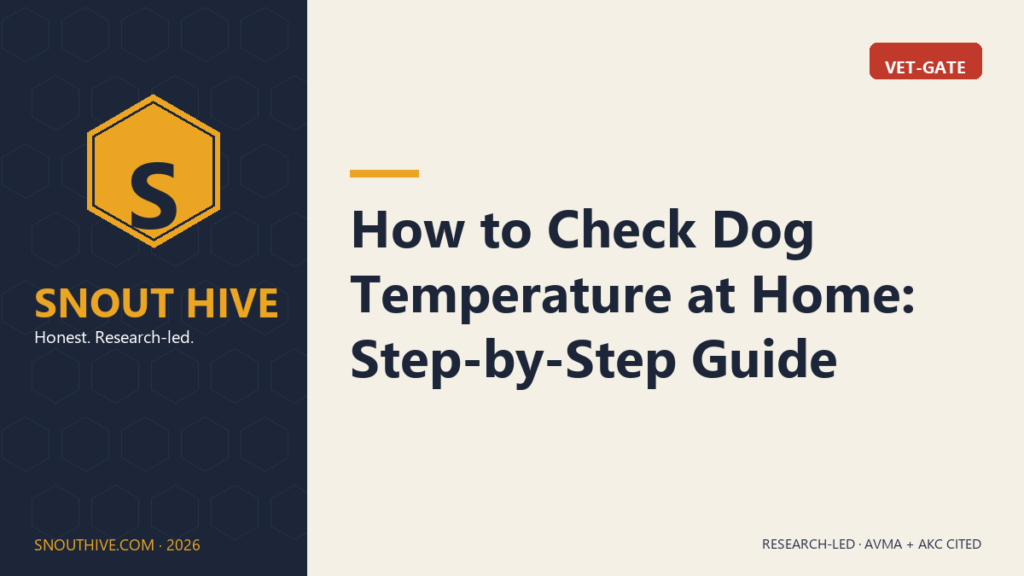 How to Check Dog Temperature at Home: Step-by-Step Guide