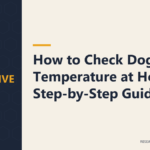 How to Check Dog Temperature at Home: Step-by-Step Guide