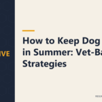 How to Keep Dog Cool in Summer: Vet-Backed Strategies