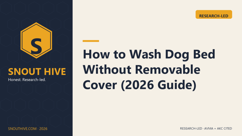 How to Wash Dog Bed Without Removable Cover (2026 Guide)