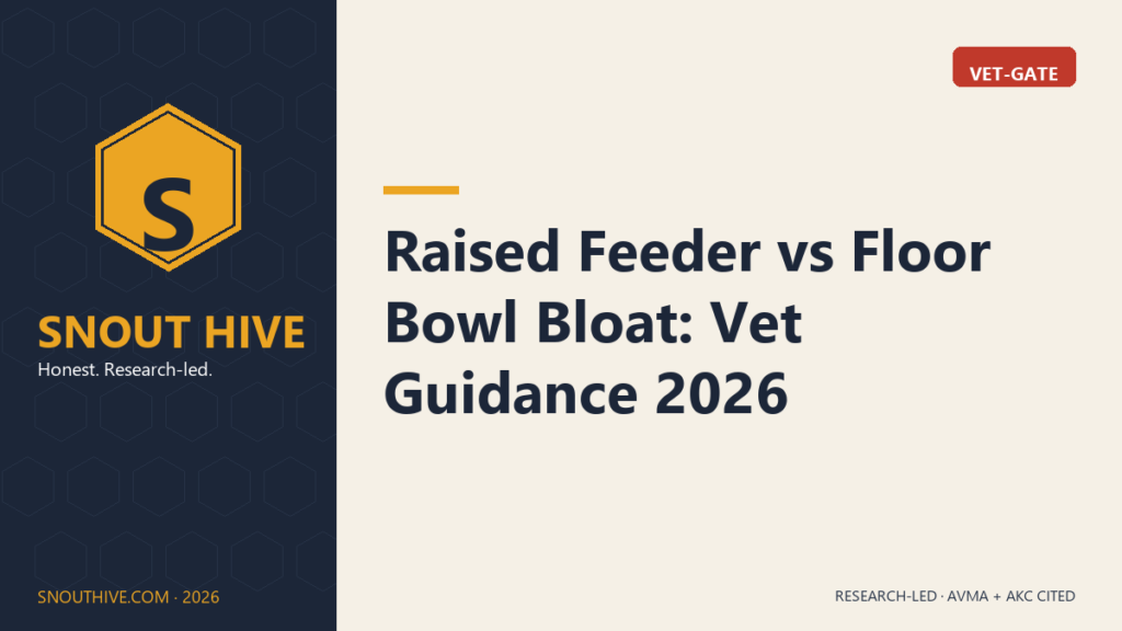 Raised Feeder vs Floor Bowl Bloat: Vet Guidance 2026